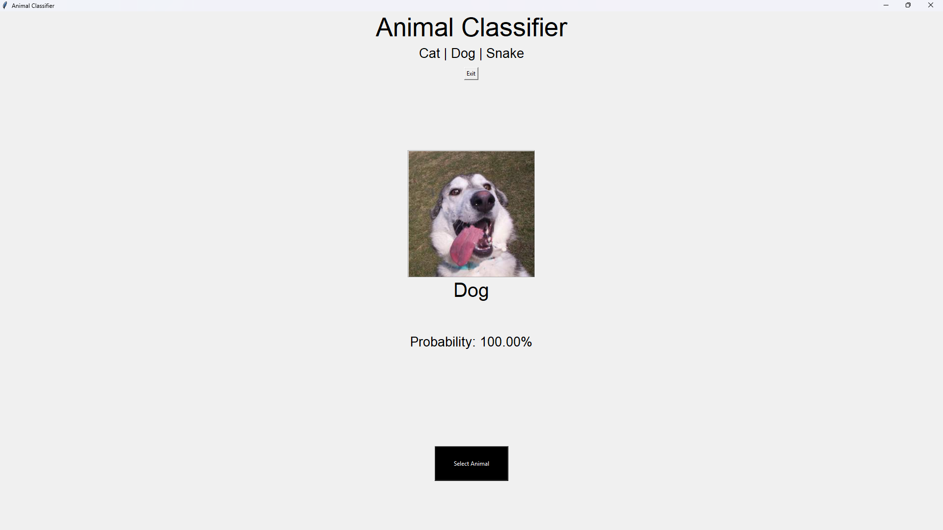 Animal Classifier (ResNet50) result 1
